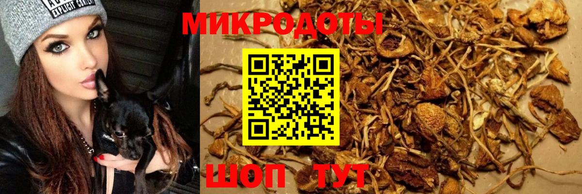 Псилоцибиновые грибы Magic Shrooms Дятьково